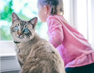une petite fille assise à côté d'un chat en surpoids