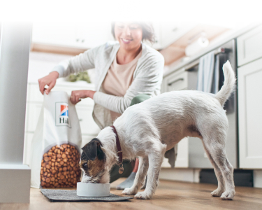 A dog eating Hill's food
